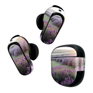 Bose QuietComfort Earbuds II �p �X�L���V�[�� �{�[�Y �C���o�b�Y2 �p�@�X�e�b�J�[�@�{��3�Z�b�g �P�[�X1�Z�b�g �ی� �t�B���� �f�R �ԁ@�t�����[�@�i�F�@�ʐ^ 023499