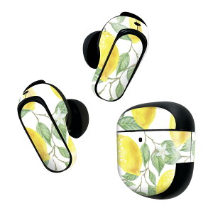 Bose QuietComfort Earbuds II �p �X�L���V�[�� �{�[�Y �C���o�b�Y2 �p�@�X�e�b�J�[�@�{��3�Z�b�g �P�[�X1�Z�b�g �ی� �t�B���� �f�R �������@�C���X�g�@�͗l 023500