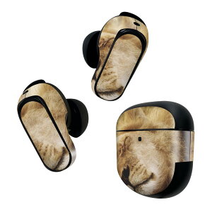 Bose QuietComfort Earbuds II �p �X�L���V�[�� �{�[�Y �C���o�b�Y2 �p�@�X�e�b�J�[�@�{��3�Z�b�g �P�[�X1�Z�b�g �ی� �t�B���� �f�R ���C�I���@���� 023528