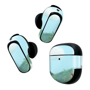 Bose QuietComfort Earbuds II �p �X�L���V�[�� �{�[�Y �C���o�b�Y2 �p�@�X�e�b�J�[�@�{��3�Z�b�g �P�[�X1�Z�b�g �ی� �t�B���� �f�R �ԁ@�C���X�g�@�_�@�� 023549