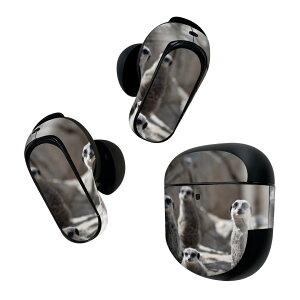 Bose QuietComfort Earbuds II �p �X�L���V�[�� �{�[�Y �C���o�b�Y2 �p�@�X�e�b�J�[�@�{��3�Z�b�g �P�[�X1�Z�b�g �ی� �t�B���� �f�R �~�[�A�L���b�g�@�����@�ʐ^ 023560