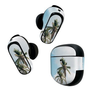 Bose QuietComfort Earbuds II �p �X�L���V�[�� �{�[�Y �C���o�b�Y2 �p�@�X�e�b�J�[�@�{��3�Z�b�g �P�[�X1�Z�b�g �ی� �t�B���� �f�R ���V�̖؁@�ā@�� 023646