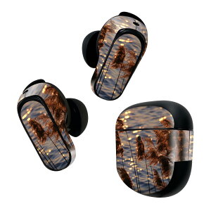 Bose QuietComfort Earbuds II p XLV[ {[Y CobY2 p@XebJ[@{3Zbg P[X1Zbg ی tB fR ppXOX@A@ 023719