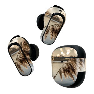 Bose QuietComfort Earbuds II p XLV[ {[Y CobY2 p@XebJ[@{3Zbg P[X1Zbg ی tB fR ppXOX@A@ 023723