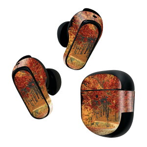 Bose QuietComfort Earbuds II �p �X�L���V�[�� �{�[�Y �C���o�b�Y2 �p�@�X�e�b�J�[�@�{��3�Z�b�g �P�[�X1�Z�b�g �ی� �t�B���� �f�R �g�t�@�H 023727
