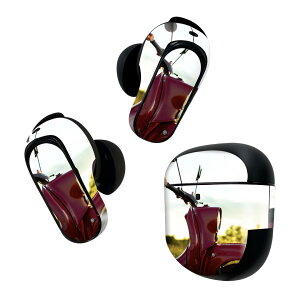 Bose QuietComfort Earbuds II p XLV[ {[Y CobY2 p@XebJ[@{3Zbg P[X1Zbg ی tB fR oCN@ʐ^@ 023763