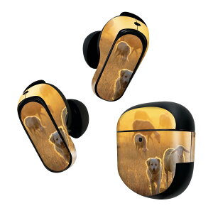 Bose QuietComfort Earbuds II p XLV[ {[Y CobY2 p@XebJ[@{3Zbg P[X1Zbg ی tB fR r@@ 023788