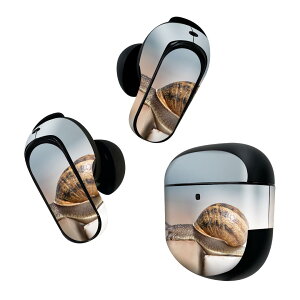 Bose QuietComfort Earbuds II p XLV[ {[Y CobY2 p@XebJ[@{3Zbg P[X1Zbg ی tB fR ނ@ʐ^ 023810