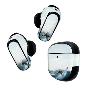 Bose QuietComfort Earbuds II �p �X�L���V�[�� �{�[�Y �C���o�b�Y2 �p�@�X�e�b�J�[�@�{��3�Z�b�g �P�[�X1�Z�b�g �ی� �t�B���� �f�R �C�@�T�[�t�B���@�ʐ^ 023865