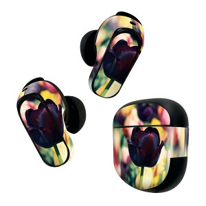 Bose QuietComfort Earbuds II p XLV[ {[Y CobY2 p@XebJ[@{3Zbg P[X1Zbg ی tB fR ԁ@t[@`[bv 023913