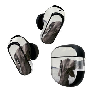 Bose QuietComfort Earbuds II p XLV[ {[Y CobY2 p@XebJ[@{3Zbg P[X1Zbg ی tB fR @@ʐ^ 023964