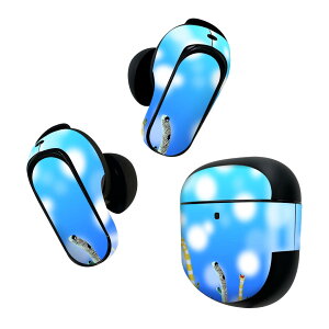 Bose QuietComfort Earbuds II �p �X�L���V�[�� �{�[�Y �C���o�b�Y2 �p�@�X�e�b�J�[�@�{��3�Z�b�g �P�[�X1�Z�b�g �ی� �t�B���� �f�R �`���A�i�S�@�C�@������ 025640