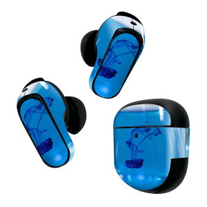 Bose QuietComfort Earbuds II p XLV[ {[Y CobY2 p@XebJ[@{3Zbg P[X1Zbg ی tB fR OX@CN@t 025643