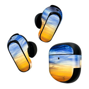 Bose QuietComfort Earbuds II �p �X�L���V�[�� �{�[�Y �C���o�b�Y2 �p�@�X�e�b�J�[�@�{��3�Z�b�g �P�[�X1�Z�b�g �ی� �t�B���� �f�R ��@���z�@�_ 025686