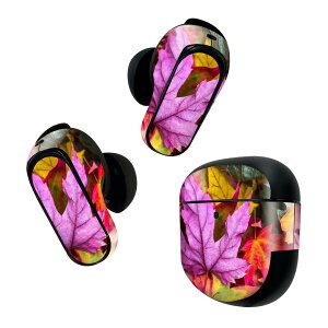 Bose QuietComfort Earbuds II p XLV[ {[Y CobY2 p@XebJ[@{3Zbg P[X1Zbg ی tB fR gt@t@݂ 025806