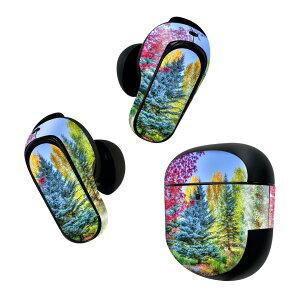 Bose QuietComfort Earbuds II �p �X�L���V�[�� �{�[�Y �C���o�b�Y2 �p�@�X�e�b�J�[�@�{��3�Z�b�g �P�[�X1�Z�b�g �ی� �t�B���� �f�R �i�F�@�؁@���R 025811