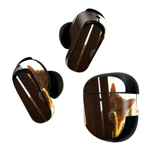Bose QuietComfort Earbuds II p XLV[ {[Y CobY2 p@XebJ[@{3Zbg P[X1Zbg ی tB fR @lR@t 025821