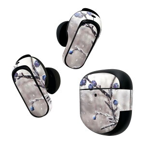 Bose QuietComfort Earbuds II �p �X�L���V�[�� �{�[�Y �C���o�b�Y2 �p�@�X�e�b�J�[�@�{��3�Z�b�g �P�[�X1�Z�b�g �ی� �t�B���� �f�R ��@�~�@�u���[�x���[ 025861
