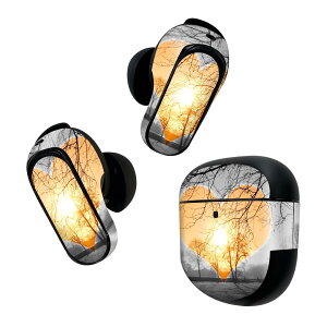 Bose QuietComfort Earbuds II �p �X�L���V�[�� �{�[�Y �C���o�b�Y2 �p�@�X�e�b�J�[�@�{��3�Z�b�g �P�[�X1�Z�b�g �ی� �t�B���� �f�R �؁@�n�[�g�@ 025863