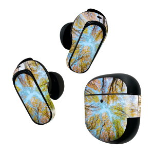 Bose QuietComfort Earbuds II �p �X�L���V�[�� �{�[�Y �C���o�b�Y2 �p�@�X�e�b�J�[�@�{��3�Z�b�g �P�[�X1�Z�b�g �ی� �t�B���� �f�R �X�с@�؁@���R 025927