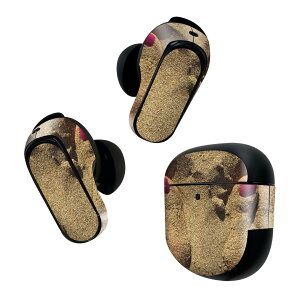 Bose QuietComfort Earbuds II p XLV[ {[Y CobY2 p@XebJ[@{3Zbg P[X1Zbg ی tB fR l@r[`@@}jLA 025966