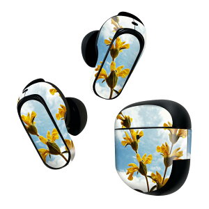 Bose QuietComfort Earbuds II �p �X�L���V�[�� �{�[�Y �C���o�b�Y2 �p�@�X�e�b�J�[�@�{��3�Z�b�g �P�[�X1�Z�b�g �ی� �t�B���� �f�R �ԁ@��@�_ 026000