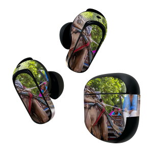 Bose QuietComfort Earbuds II �p �X�L���V�[�� �{�[�Y �C���o�b�Y2 �p�@�X�e�b�J�[�@�{��3�Z�b�g �P�[�X1�Z�b�g �ی� �t�B���� �f�R �l���@�n 026004