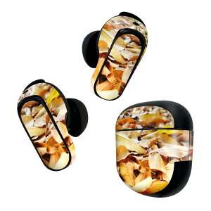 Bose QuietComfort Earbuds II p XLV[ {[Y CobY2 p@XebJ[@{3Zbg P[X1Zbg ی tB fR t@gt@H@ 026011
