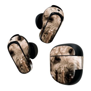 Bose QuietComfort Earbuds II �p �X�L���V�[�� �{�[�Y �C���o�b�Y2 �p�@�X�e�b�J�[�@�{��3�Z�b�g �P�[�X1�Z�b�g �ی� �t�B���� �f�R �����@���@�`�F�X 026095