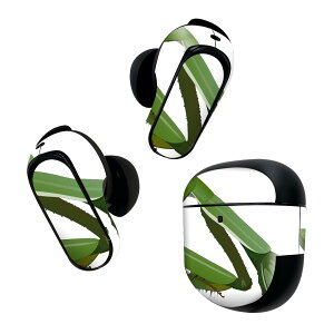 Bose QuietComfort Earbuds II p XLV[ {[Y CobY2 p@XebJ[@{3Zbg P[X1Zbg ی tB fR @J}L 026234