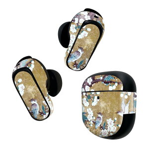 Bose QuietComfort Earbuds II p XLV[ {[Y CobY2 p@XebJ[@{3Zbg P[X1Zbg ی tB fR ԁ@@a@a 004544