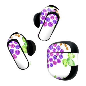 Bose QuietComfort Earbuds II p XLV[ {[Y CobY2 p@XebJ[@{3Zbg P[X1Zbg ی tB fR Ԃǂ@΁@CXg 005197