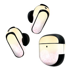 Bose QuietComfort Earbuds II �p �X�L���V�[�� �{�[�Y �C���o�b�Y2 �p�@�X�e�b�J�[�@�{��3�Z�b�g �P�[�X1�Z�b�g �ی� �t�B���� �f�R ���@�s���N�@�I�����W 005306