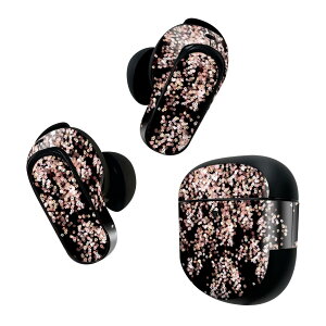 Bose QuietComfort Earbuds II �p �X�L���V�[�� �{�[�Y �C���o�b�Y2 �p�@�X�e�b�J�[�@�{��3�Z�b�g �P�[�X1�Z�b�g �ی� �t�B���� �f�R ���@�s���N�@�� 005308