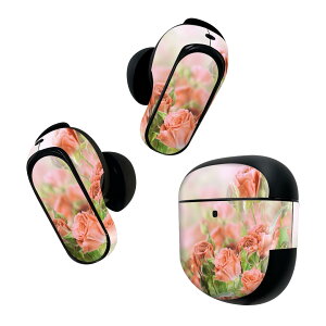Bose QuietComfort Earbuds II p XLV[ {[Y CobY2 p@XebJ[@{3Zbg P[X1Zbg ی tB fR ʐ^@ԁ@ 005491