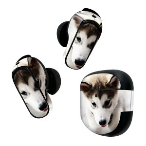 Bose QuietComfort Earbuds II �p �X�L���V�[�� �{�[�Y �C���o�b�Y2 �p�@�X�e�b�J�[�@�{��3�Z�b�g �P�[�X1�Z�b�g �ی� �t�B���� �f�R �A�j�}�� �ʐ^�@�����@�� 005831