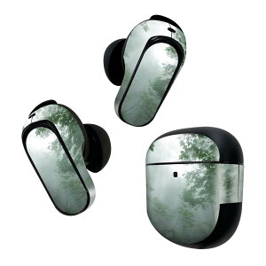 Bose QuietComfort Earbuds II p XLV[ {[Y CobY2 p@XebJ[@{3Zbg P[X1Zbg ی tB fR ʐ^@X@ 005872