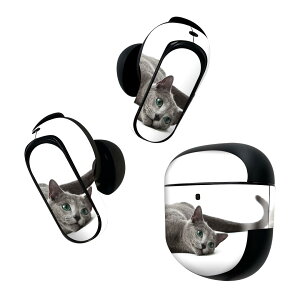 Bose QuietComfort Earbuds II �p �X�L���V�[�� �{�[�Y �C���o�b�Y2 �p�@�X�e�b�J�[�@�{��3�Z�b�g �P�[�X1�Z�b�g �ی� �t�B���� �f�R �A�j�}�� �ʐ^�@�����@�L�@�˂� 005907