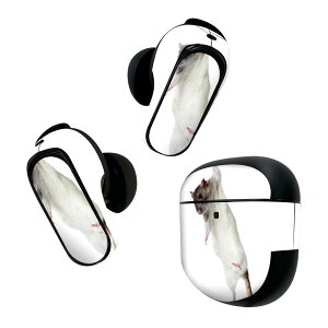 Bose QuietComfort Earbuds II �p �X�L���V�[�� �{�[�Y �C���o�b�Y2 �p�@�X�e�b�J�[�@�{��3�Z�b�g �P�[�X1�Z�b�g �ی� �t�B���� �f�R �A�j�}�� �ʐ^�@�����@�˂��� 005911