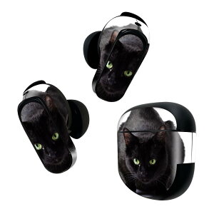 Bose QuietComfort Earbuds II p XLV[ {[Y CobY2 p@XebJ[@{3Zbg P[X1Zbg ی tB fR Aj} ʐ^@@˂@L 005958