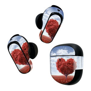 Bose QuietComfort Earbuds II �p �X�L���V�[�� �{�[�Y �C���o�b�Y2 �p�@�X�e�b�J�[�@�{��3�Z�b�g �P�[�X1�Z�b�g �ی� �t�B���� �f�R �ʐ^�@�n�[�g�@�A�� 006009