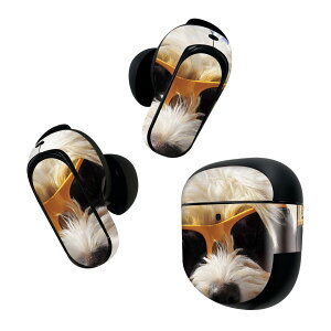 Bose QuietComfort Earbuds II p XLV[ {[Y CobY2 p@XebJ[@{3Zbg P[X1Zbg ی tB fR Aj} ʐ^@@ 006384