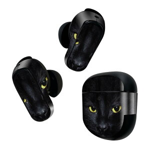 Bose QuietComfort Earbuds II �p �X�L���V�[�� �{�[�Y �C���o�b�Y2 �p�@�X�e�b�J�[�@�{��3�Z�b�g �P�[�X1�Z�b�g �ی� �t�B���� �f�R �ʐ^�@�L�@�˂� 006447