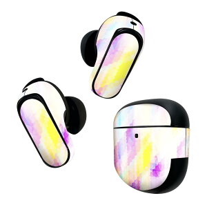 Bose QuietComfort Earbuds II �p �X�L���V�[�� �{�[�Y �C���o�b�Y2 �p�@�X�e�b�J�[�@�{��3�Z�b�g �P�[�X1�Z�b�g �ی� �t�B���� �f�R �J���t���@�͗l 006543