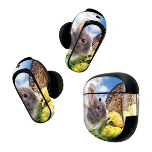 Bose QuietComfort Earbuds II p XLV[ {[Y CobY2 p@XebJ[@{3Zbg P[X1Zbg ی tB fR ʐ^@@ 006581