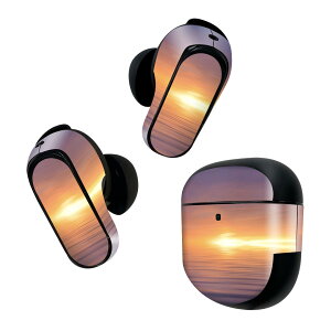 Bose QuietComfort Earbuds II p XLV[ {[Y CobY2 p@XebJ[@{3Zbg P[X1Zbg ی tB fR ʐ^@C@@[ 006610