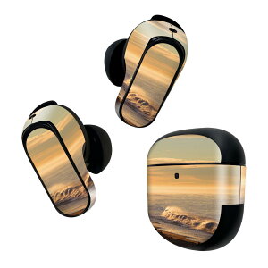 Bose QuietComfort Earbuds II �p �X�L���V�[�� �{�[�Y �C���o�b�Y2 �p�@�X�e�b�J�[�@�{��3�Z�b�g �P�[�X1�Z�b�g �ی� �t�B���� �f�R �ʐ^�@�C�@�� 006788