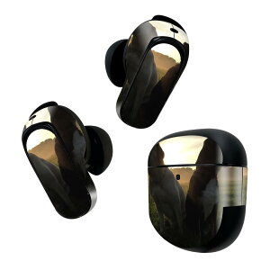 Bose QuietComfort Earbuds II �p �X�L���V�[�� �{�[�Y �C���o�b�Y2 �p�@�X�e�b�J�[�@�{��3�Z�b�g �P�[�X1�Z�b�g �ی� �t�B���� �f�R �A�j�}�� �ʐ^�@�� 006937