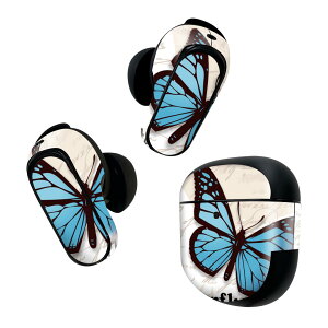 Bose QuietComfort Earbuds II p XLV[ {[Y CobY2 p@XebJ[@{3Zbg P[X1Zbg ی tB fR @p@ 007037