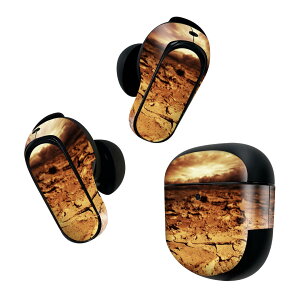 Bose QuietComfort Earbuds II p XLV[ {[Y CobY2 p@XebJ[@{3Zbg P[X1Zbg ی tB fR ʐ^@F@uE@y@ 007728